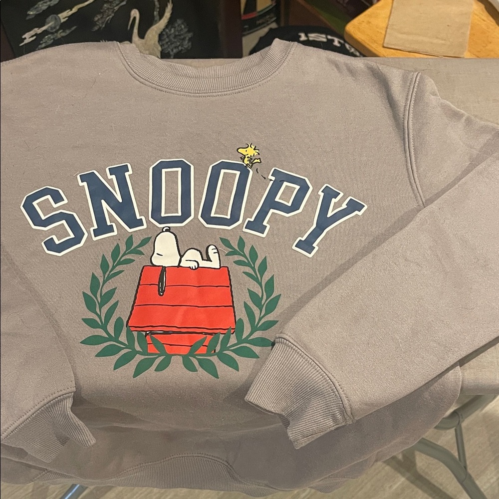 Peanuts Hybrid Apparel in Light Gray